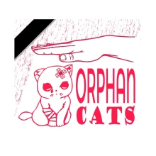 Association Orphan Cats Chanel Portal