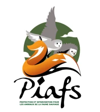 PROTECTION ET INTERVENTION POUR LES ANIMAUX DE LA FAUNE SAUVAGE