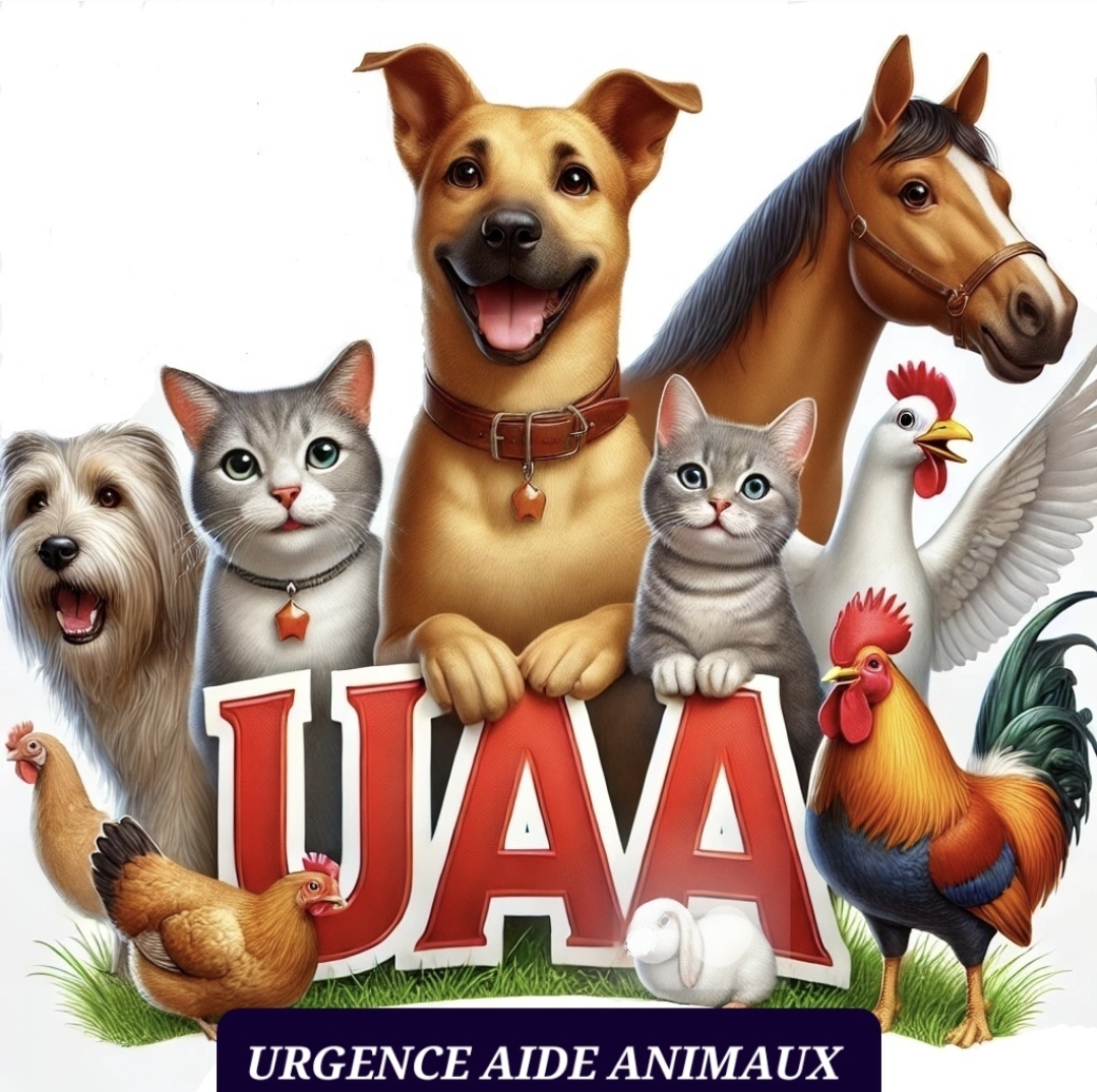 URGENCE AIDE ANIMAUX