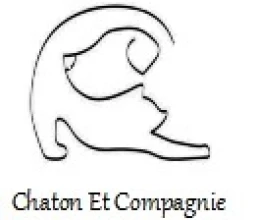 Chaton et compagnie