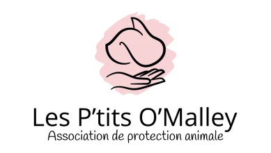 Les P'tits O'Malley