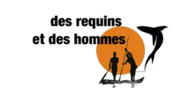 DES REQUINS ET DES HOMMES