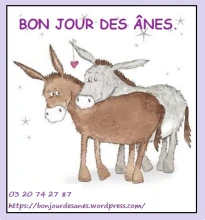 Association « Bon Jour des Ânes »