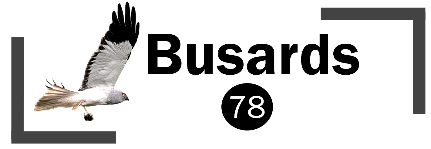 Busards 78
