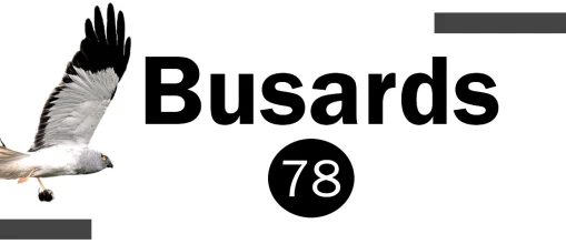 Busards 78