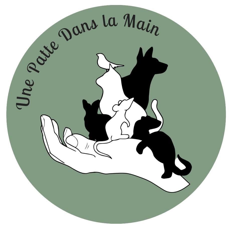UNE PATTE DANS LA MAIN (UPDM)