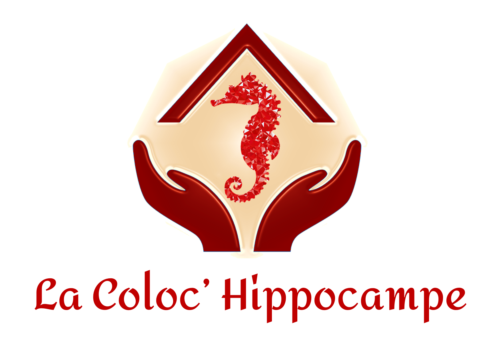 LA COLOC' HIPPOCAMPE