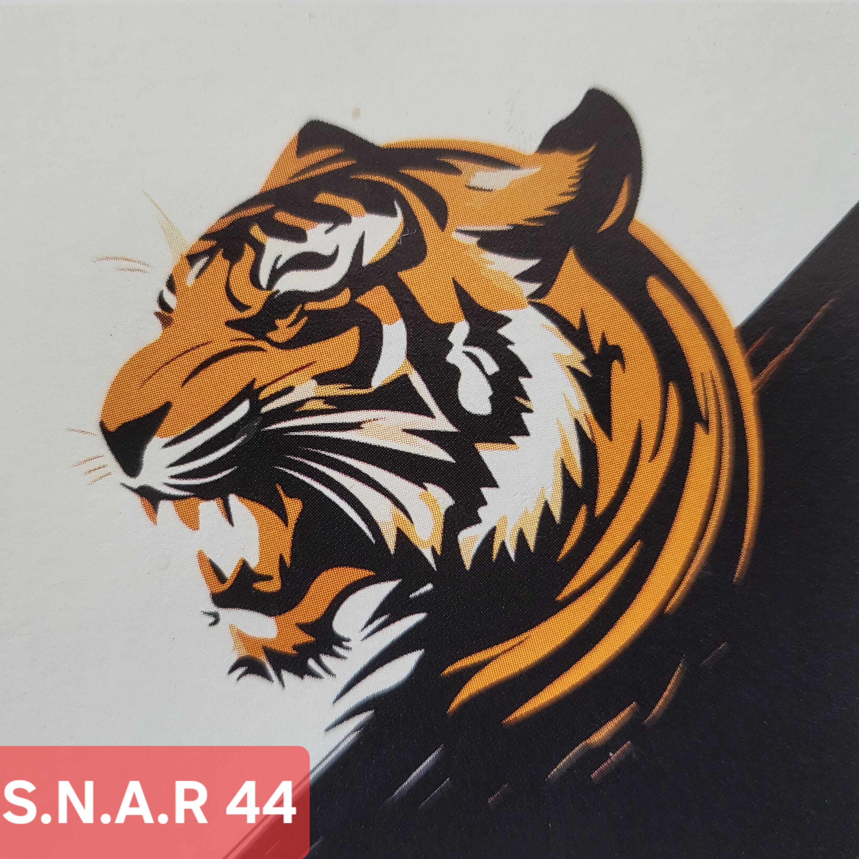 Saint-Nazaire Assistance Radio 44