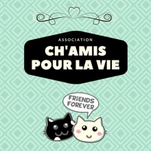 Ch'Amis pour la Vie