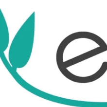 ECHOGESTES
