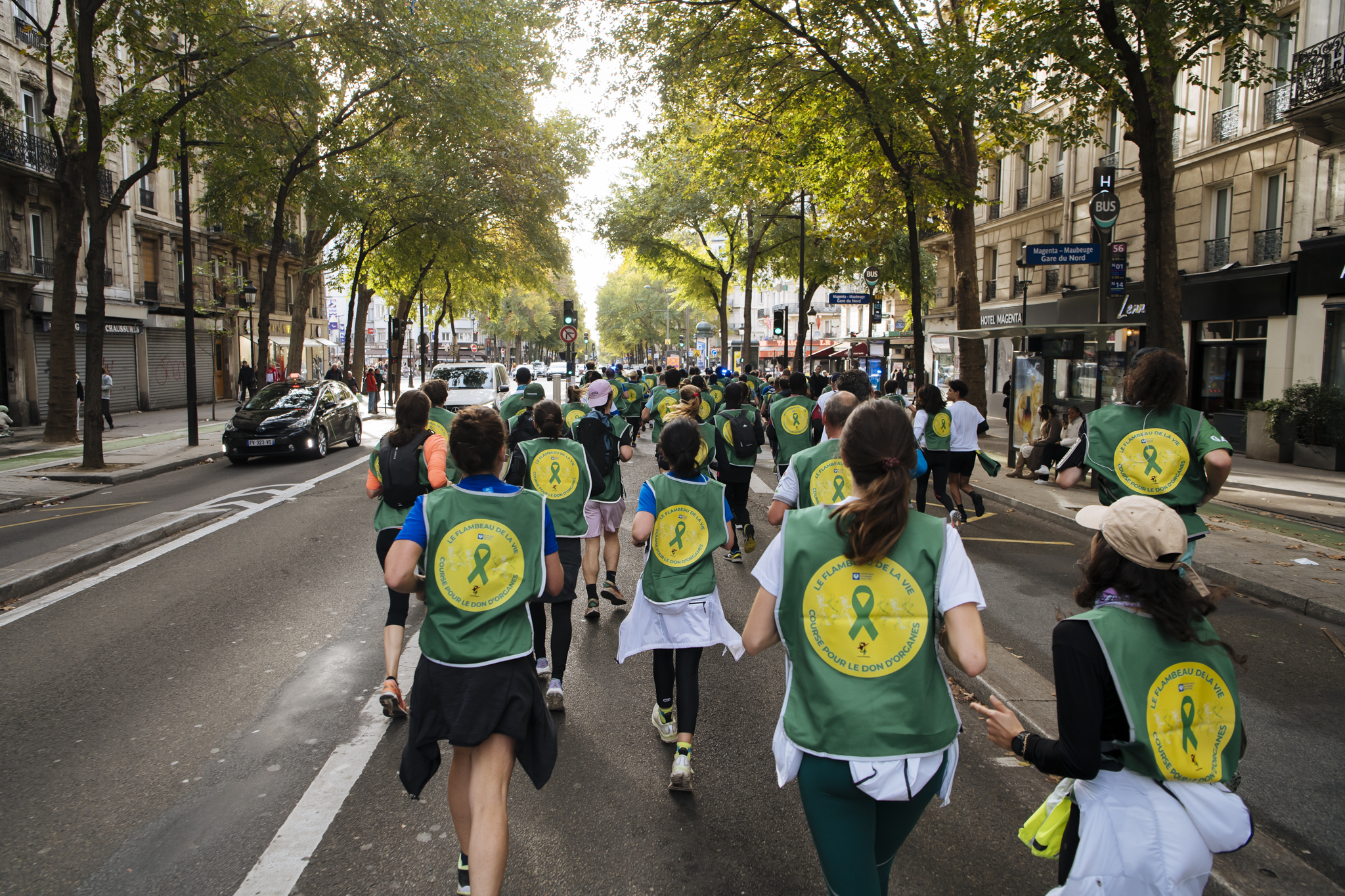 LE FLAMBEAU DE LA VIE