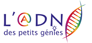 L'@DN des petits génies