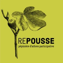 Repousse