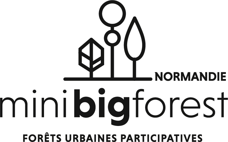Minibigforest Normandie