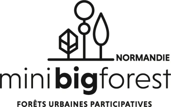 Minibigforest Normandie