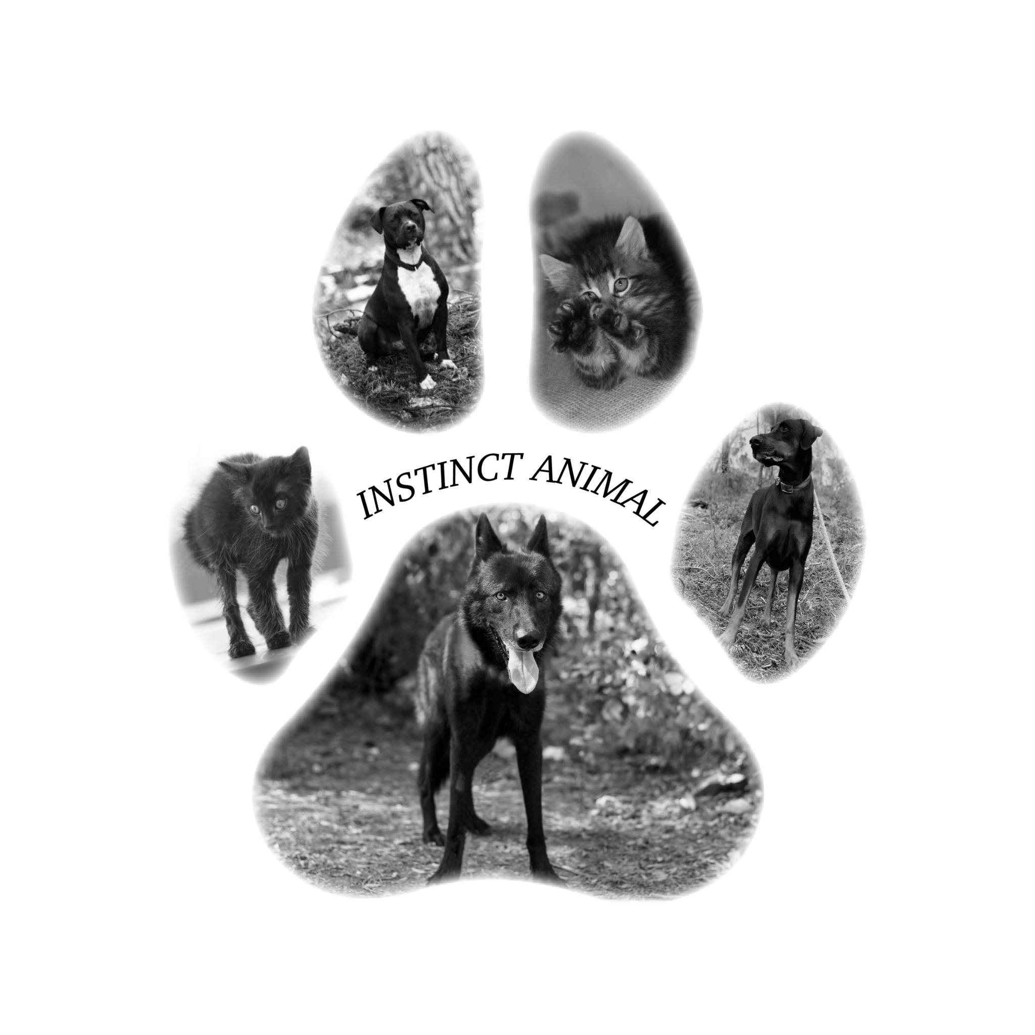 INSTINCT ANIMAL