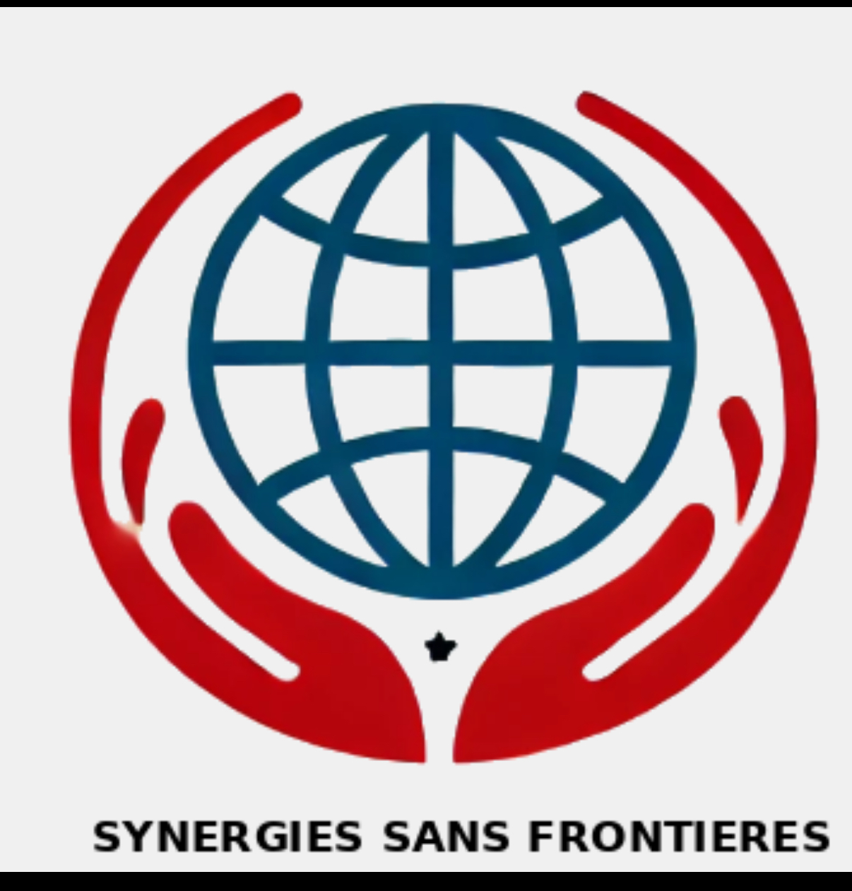 Synergie Sans Frontieres