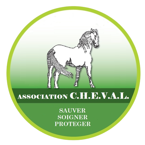 Association C.H.E.V.A.L.
