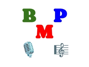 BLAIZ MUSIC PROMOTION