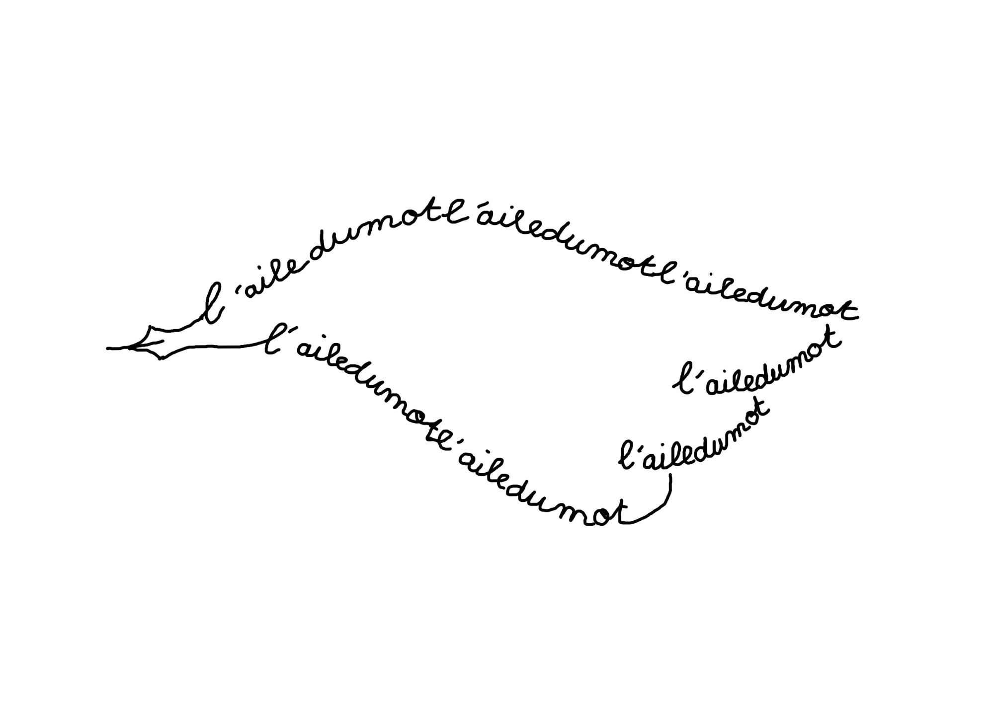 L'aile du mot