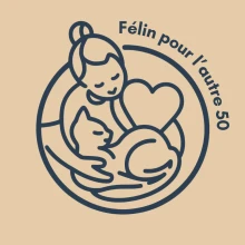 FÉLIN POUR L’AUTRE 50
