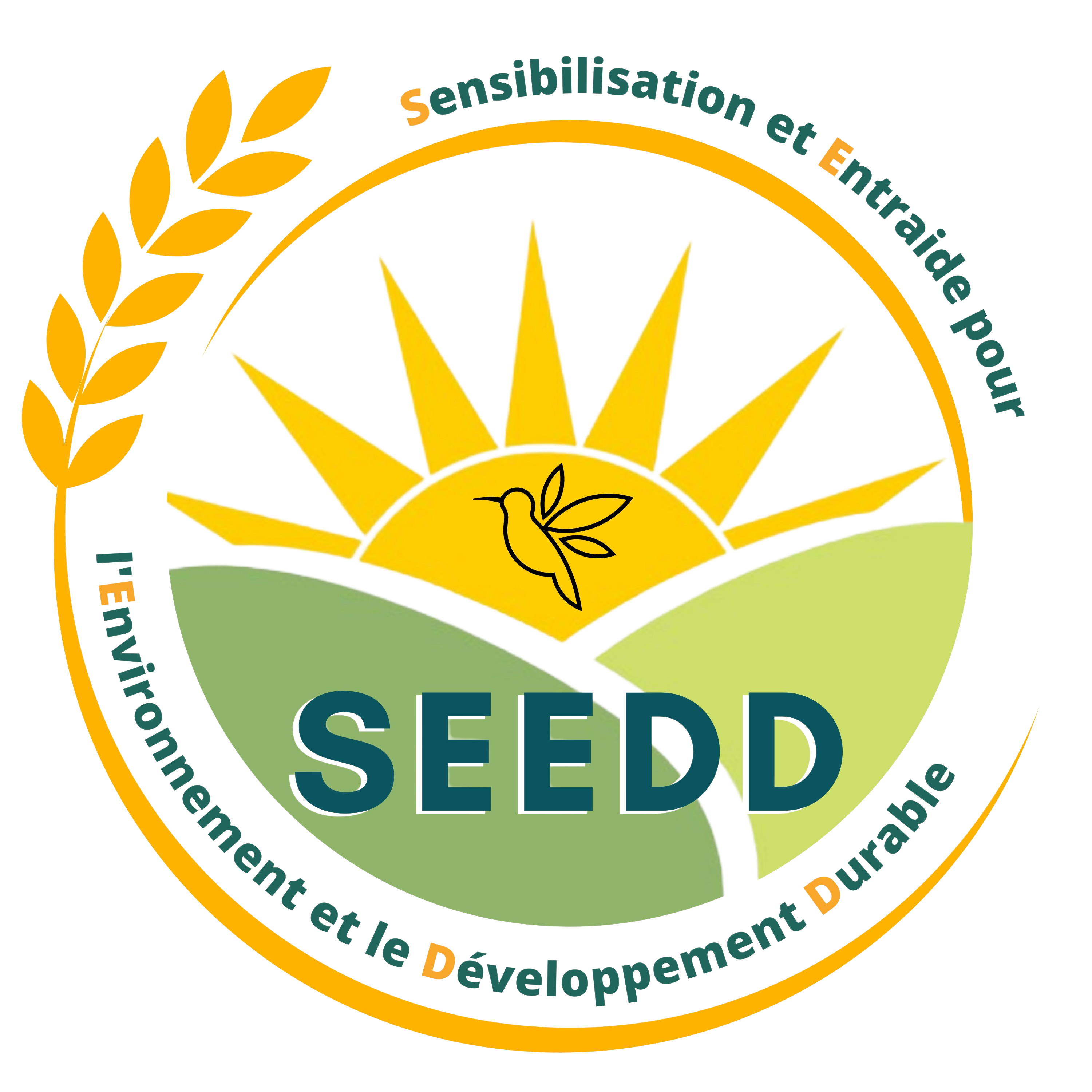 SEEDD