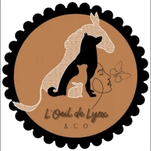 L’œil de lynx & Co