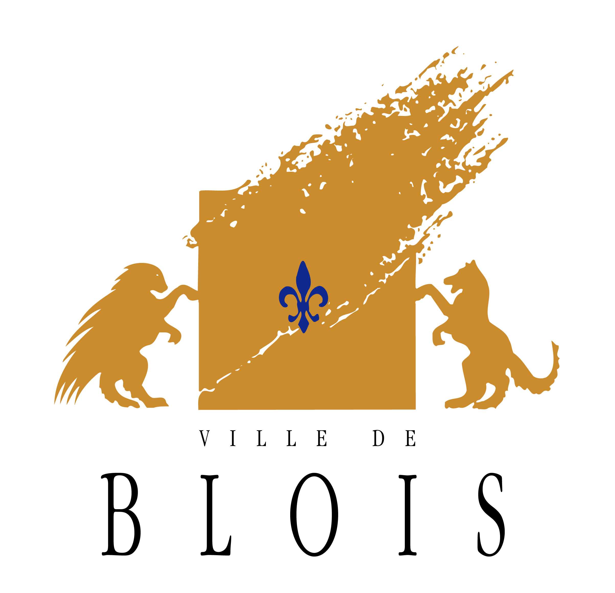 Ville de Blois