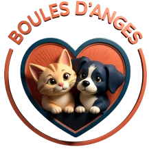 Boules d'Anges