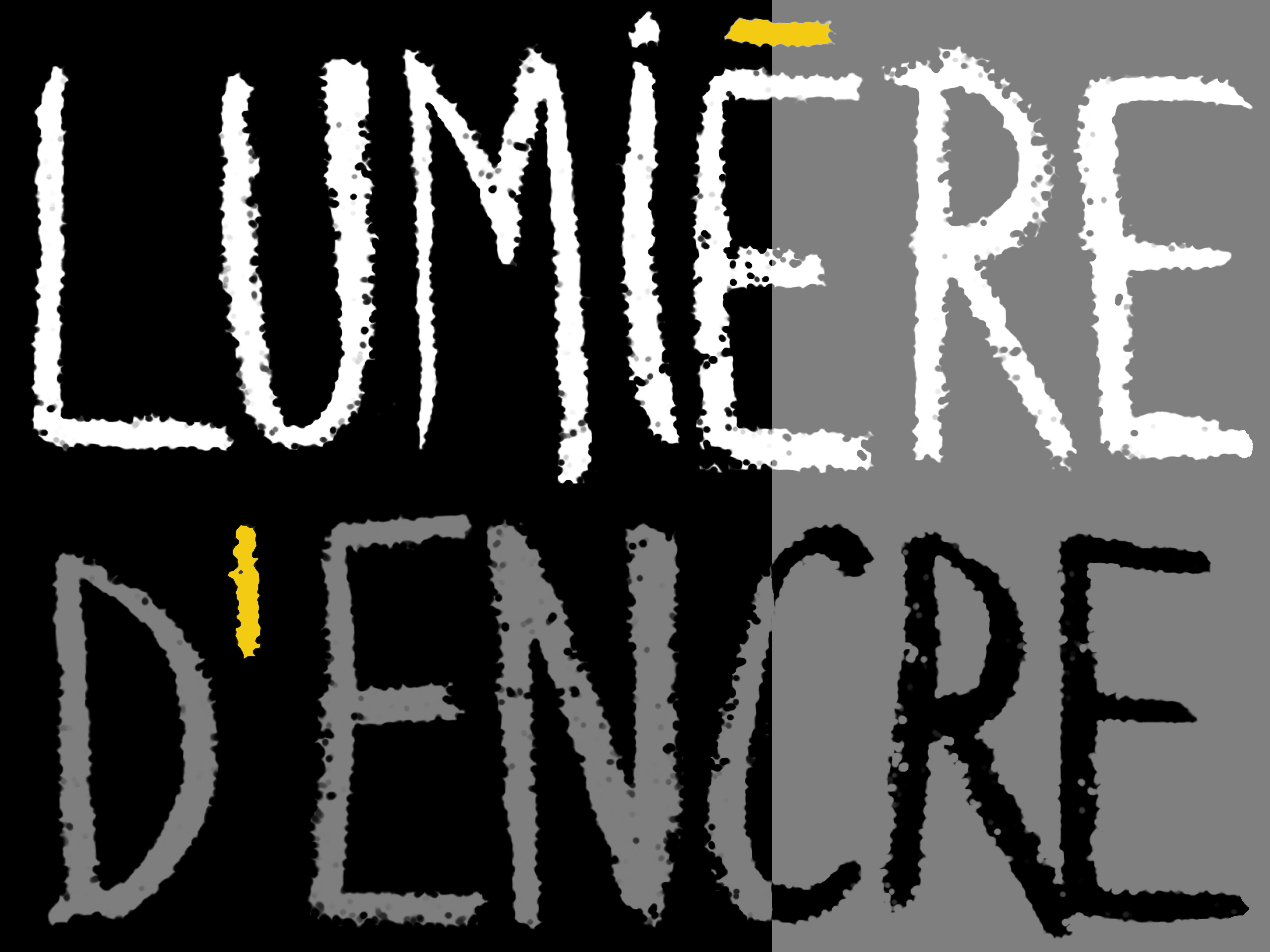 LUMIÈRE d'ENCRE