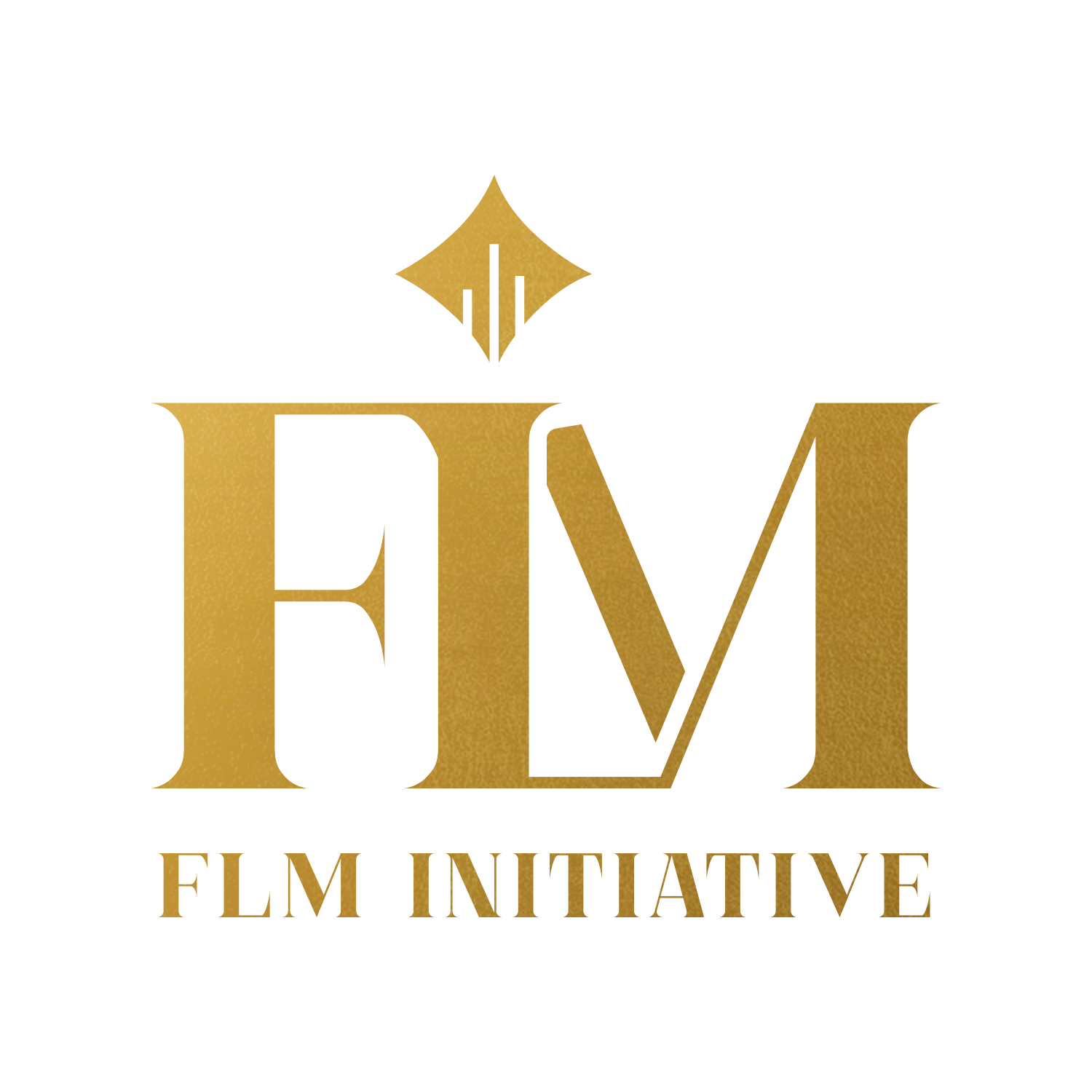 FLM initiative