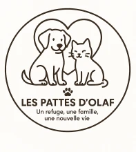 Les pattes d’Olaf