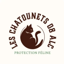 Les chatounets 08