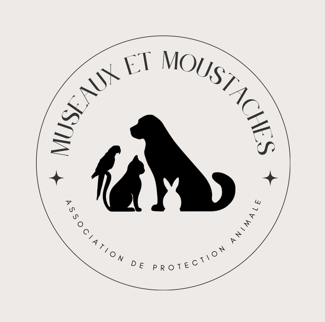 Museaux et Moustaches