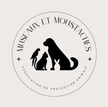 Museaux et Moustaches