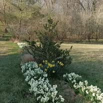 Société des Sciences Naturelles et Agricoles de l'Agenais SSNAA