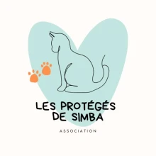 Les protégés de Simba