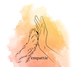 EMPATTIE