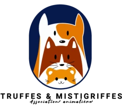 TRUFFES & MISTIGRIFFES