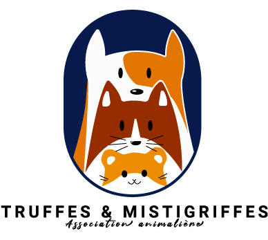 TRUFFES & MISTIGRIFFES