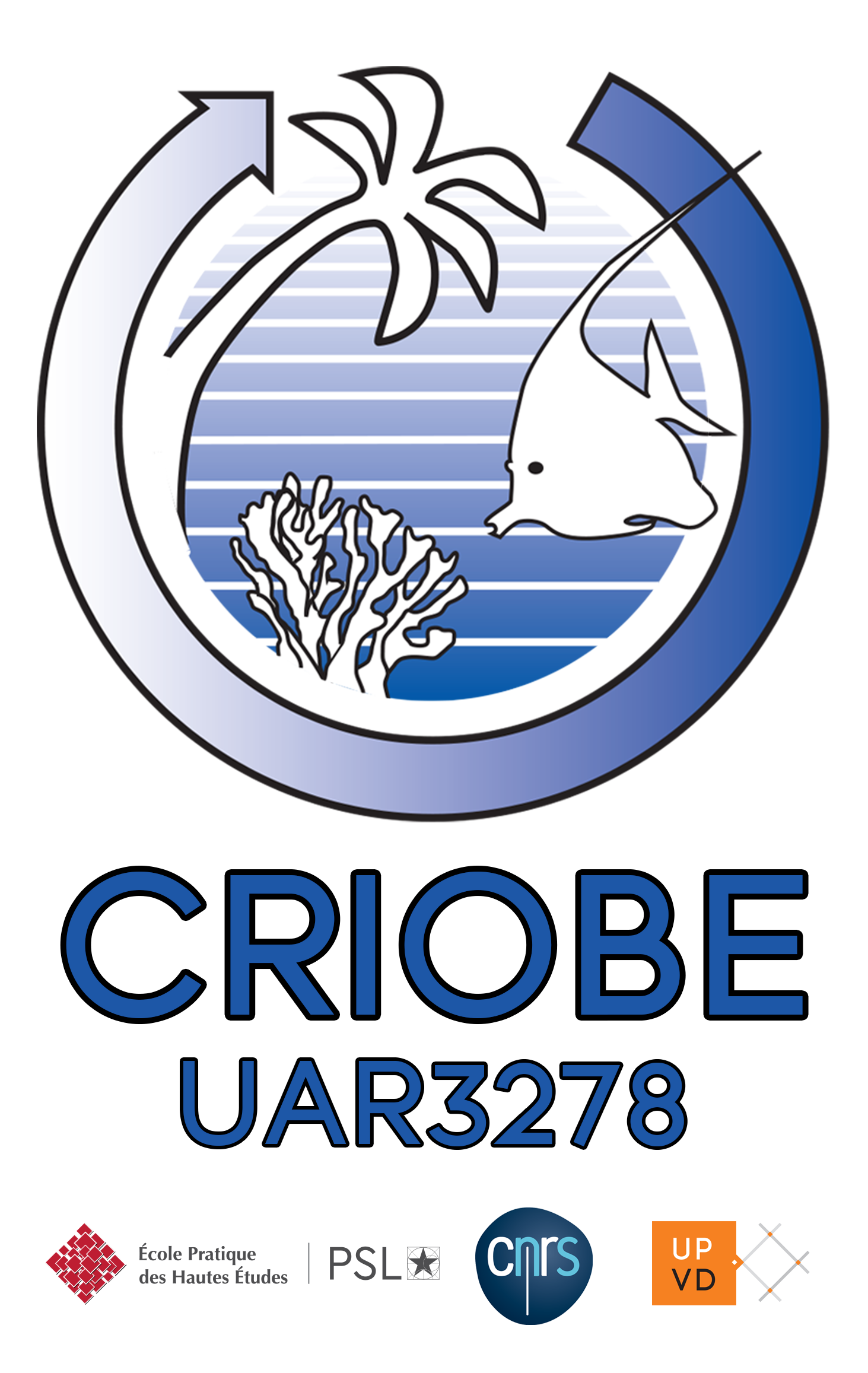 Criobe