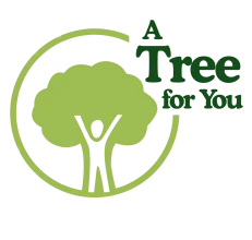 A TREE FOR YOU