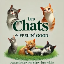 Les Chats de Feelin’ Good