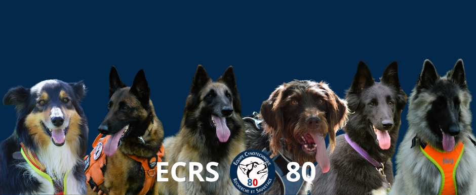 Logo de Équipes cynotechniques de recherche et de sauvetage