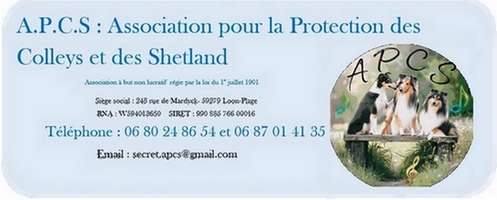 Association pour la Protection des Colleys et des Shetland APCS
