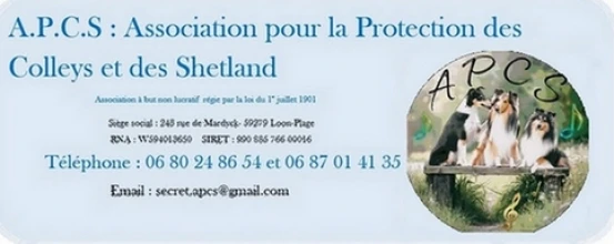 Association pour la Protection des Colleys et des Shetland APCS