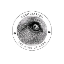 Association The Eyes of Hope