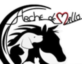 L'ARCHE DE MALLO