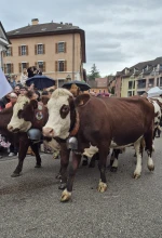 ANNECY TRADITIONS 'LA TRADITION PAR LA FETE'