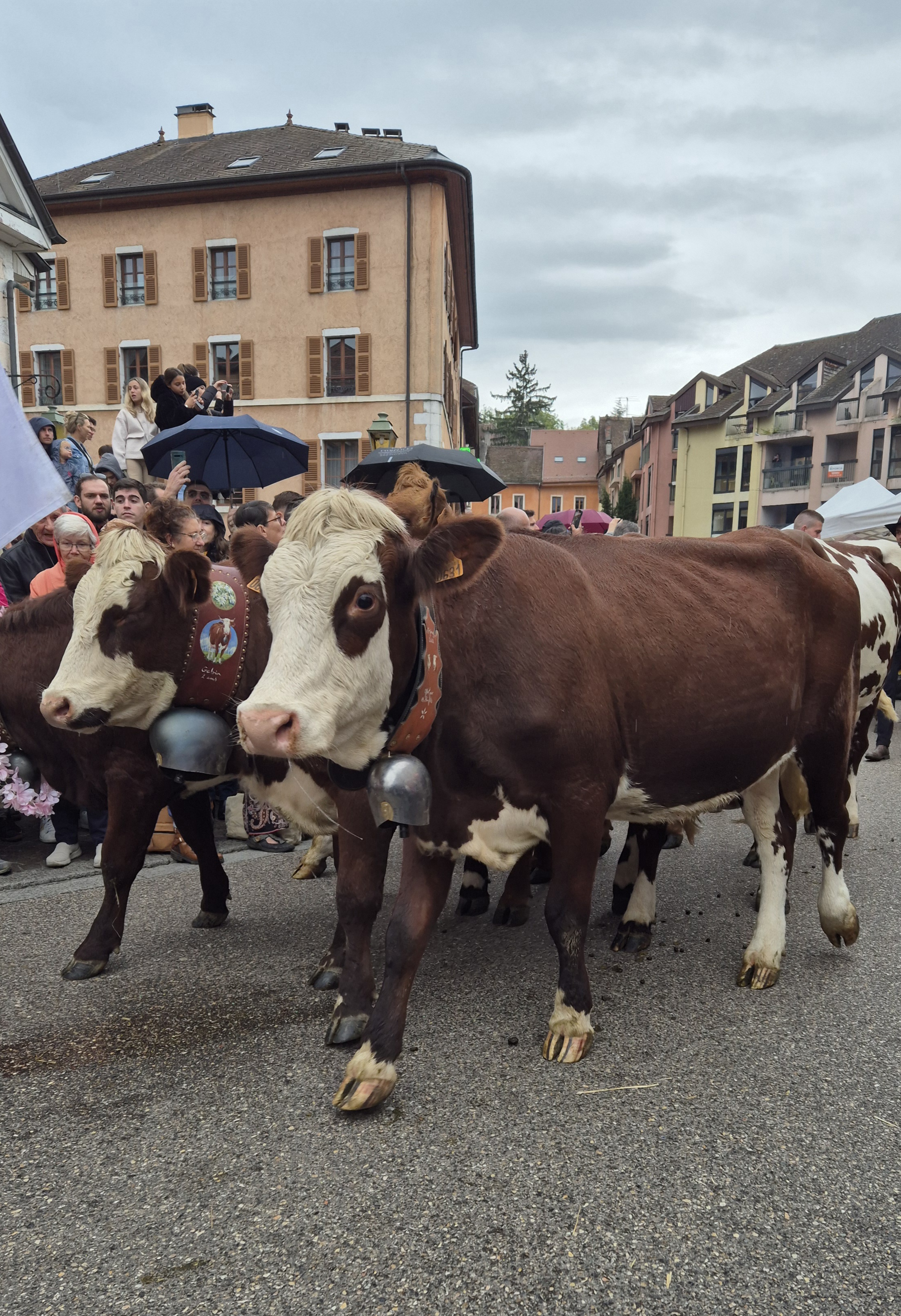 ANNECY TRADITIONS 'LA TRADITION PAR LA FETE'